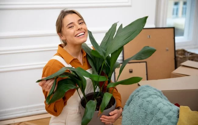 5 неприхотливых комнатных растений, которые улучшат ваше здоровье