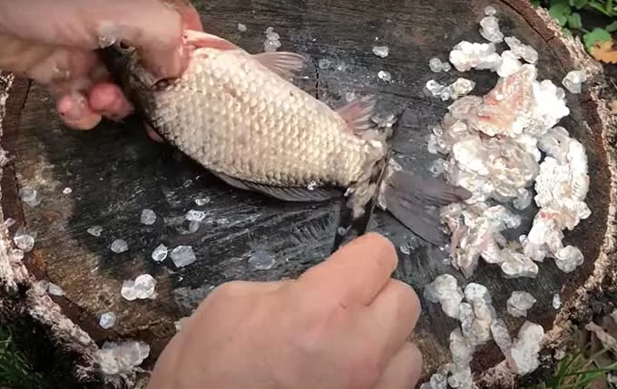 Как быстро почистить рыбу от чешуи: способ, который сэкономит время