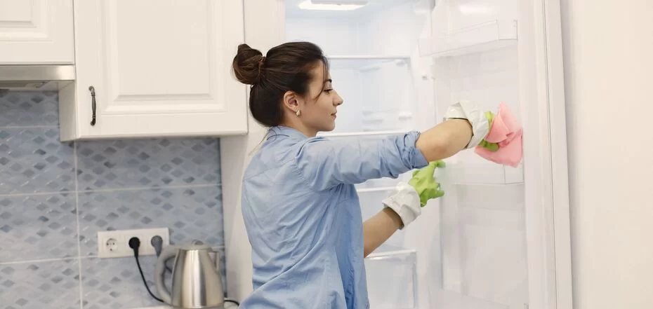 Полезные советы: как устранить неприятные запахи из холодильника