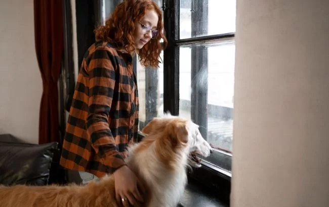 Почему собака лает на окно: неочевидные причины загадочного поведения