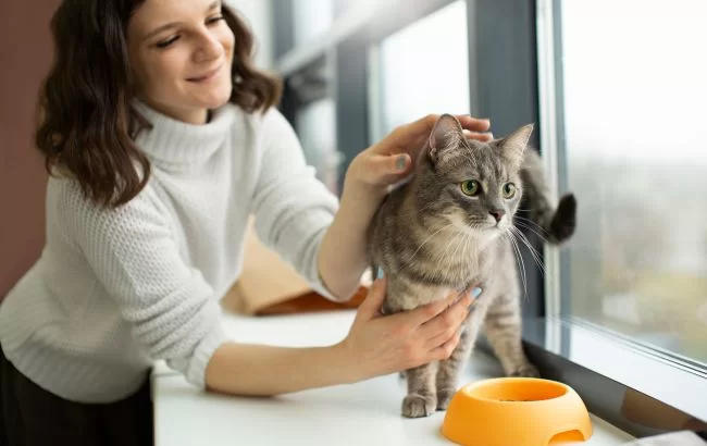 У кошек тоже бывает аллергия на еду: как она проявляется и что можно сделать