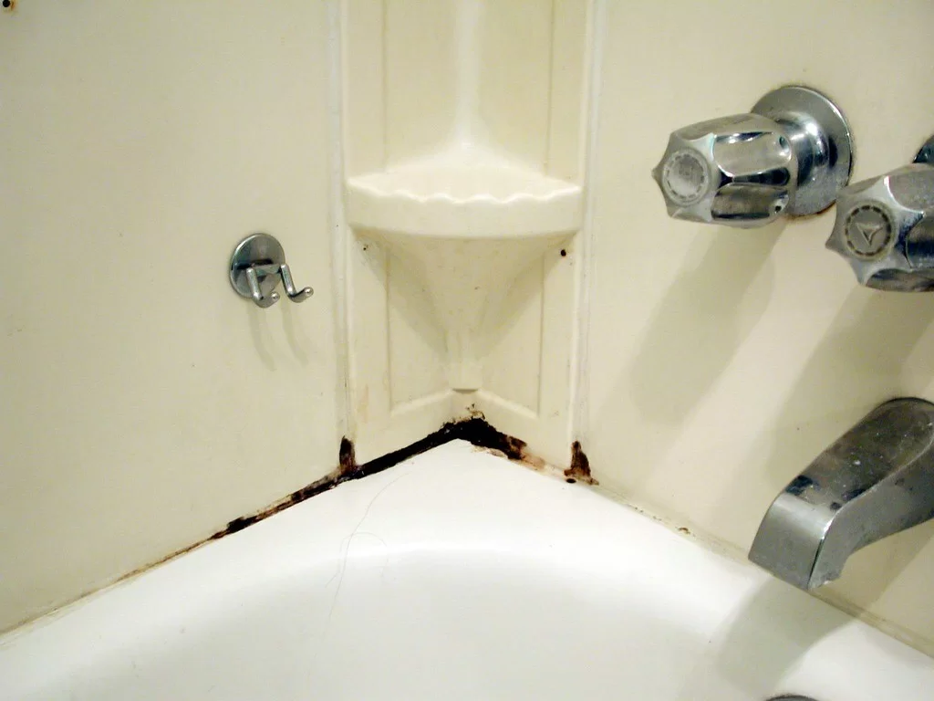 Как надолго избавиться от плесени в ванной: простой способ