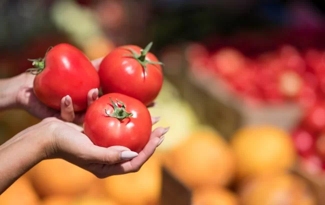 Обычные помидоры: какая польза и вред от "популярного" овоща